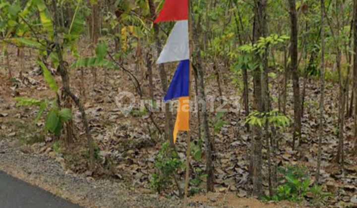 Land for Sale in Tirtomoyo Wonogiri