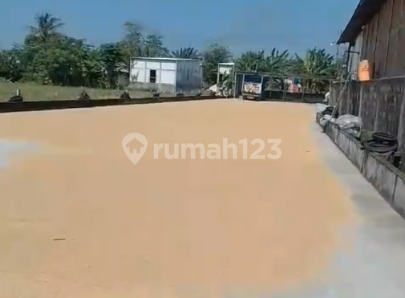 Warehouse for Sale in Demak Regency, Central Java