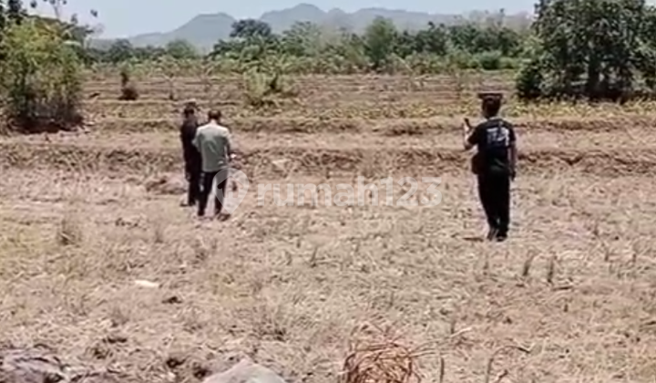 Land for Sale in Rembang