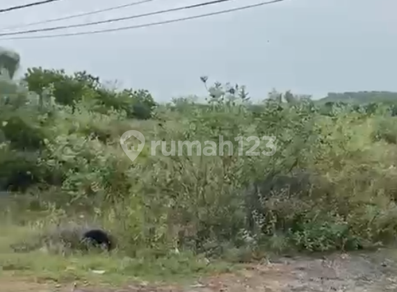 Industrial Land for Sale in Rembang