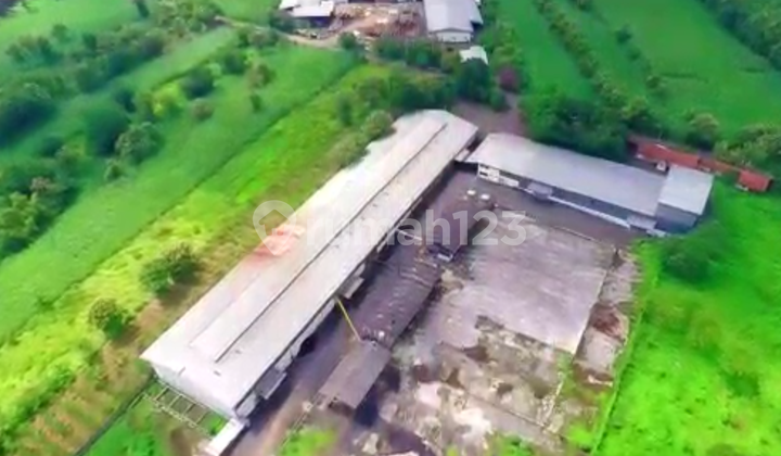 For Sale Used Tapioca Factory in Sukoharjo, Central Java For Sale Used Tapioca Factory in Sukoharjo, Central Java