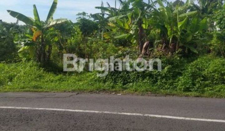 Tanah di Pudak Payung Semarang 1