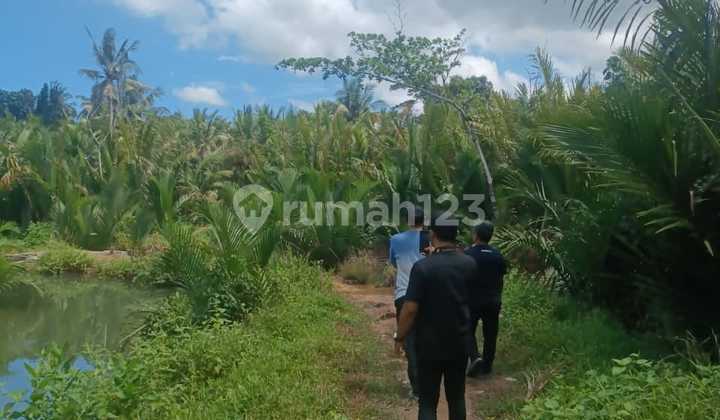 Empty LandBatukaras Road, Sungai Cijulang Batukaras Pangandaran Empty LandBatukaras Road, Sungai Cijulang Batukaras Pangandaran