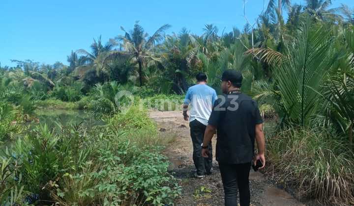 Empty LandBatukaras Road, Sungai Cijulang Batukaras Pangandaran Empty LandBatukaras Road, Sungai Cijulang Batukaras Pangandaran