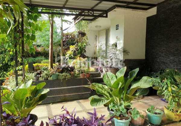 Rumah Asri Dengan Udara Yang Sejuk Dan Harga Ekonomis Di Rancamaya