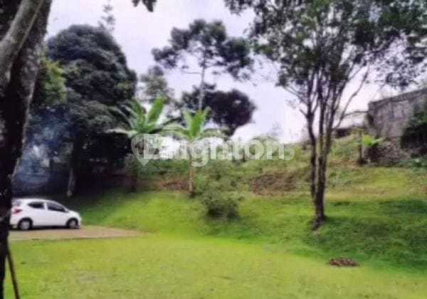 Tanah Strategis Dekat Resto Damar Langit Di Cisarua Tanah Strategis Dekat Resto Damar Langit Di Cisarua