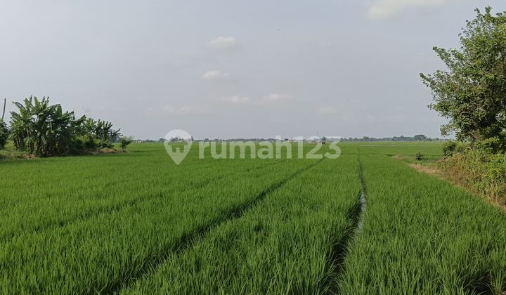 For Sale Quickly: Land Along Pantura Road, Ciberes Subang, Price Negotiable
