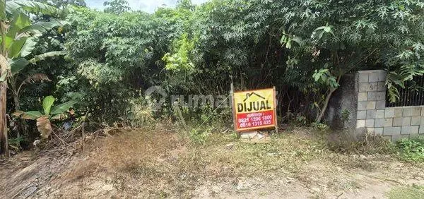 Dijual Tanah di Jalan Sasak 4 Mandor Dami, Kalimulya, Kec. Cilodong, Depok, Jabar Dijual Tanah di Jalan Sasak 4 Mandor Dami, Kalimulya, Kec. Cilodong, Depok, Jabar