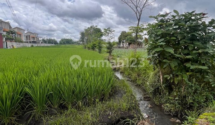 Central City Area Suhat in Lowokwaru Malang, Center of Activity Central City Area Suhat in Lowokwaru Malang, Center of Activity