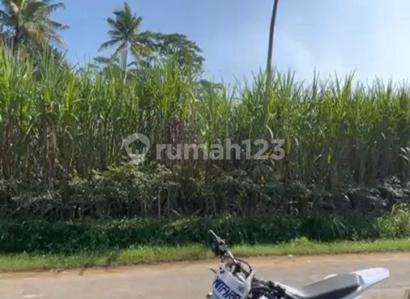 Strategic Plot of Land Suitable for Business in Bululawang, Malang