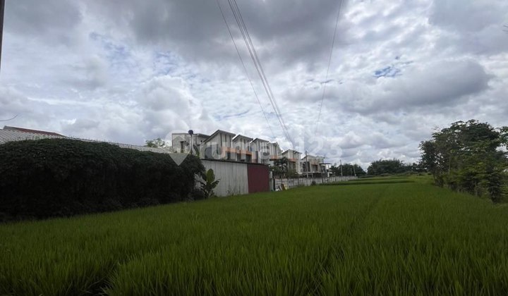 Central City Area Suhat in Lowokwaru Malang, Center of Activity Central City Area Suhat in Lowokwaru Malang, Center of Activity