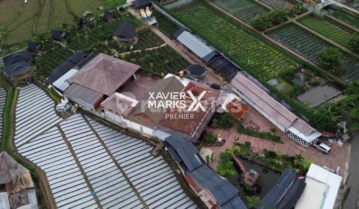 Takeover Active Restaurant Business High Demand In Pujon Malang