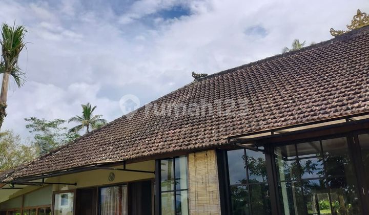 For Sale Villa in Tegalalang, Ubud For Sale Villa in Tegalalang, Ubud