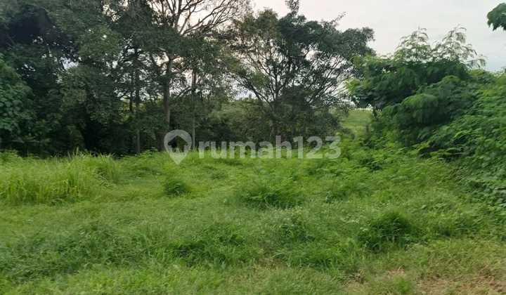 Prime Land For Sale In Munggu, Bali - 11 Are Strategic Plot Near The Beach, Ideal For Villa Development