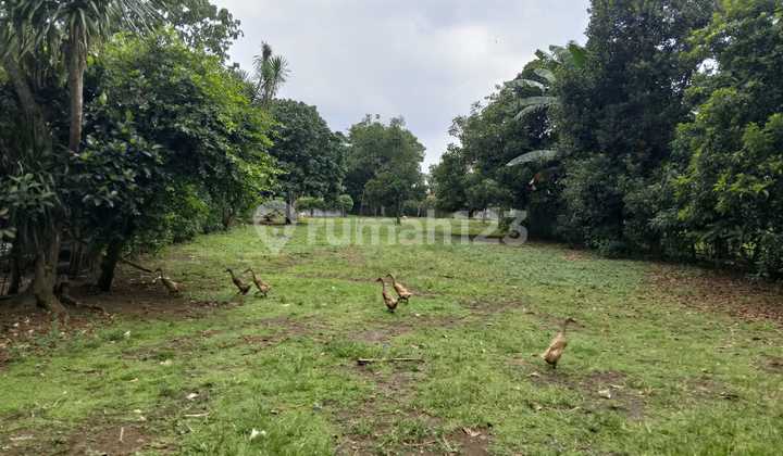 Land for Sale in Legok