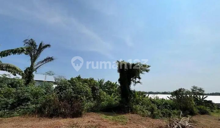 Land for Sale Suitable for Industry and Housing in Mambak, Jepara