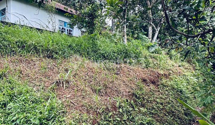 Dijual Tanah Grafika Banyumanik, Harga Dibawah NJOP 2