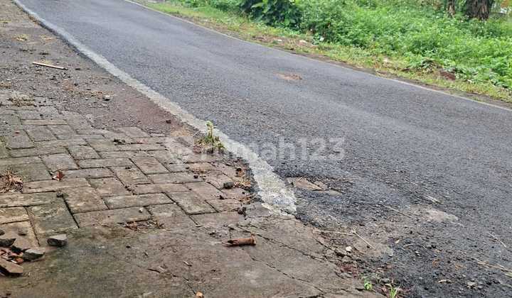 Dijual Tanah Murah Strategis Ring 1 Undip  2