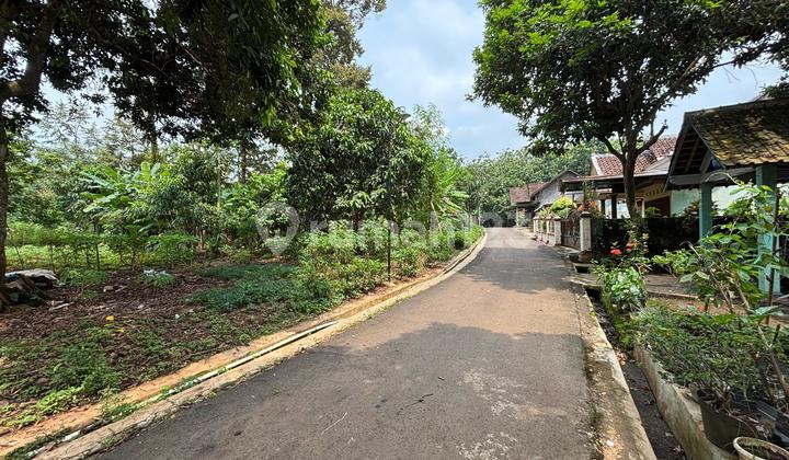 Lahan Strategis Cocok Untuk Investasi / Perumahan 2