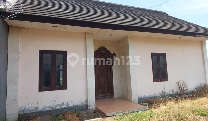 Rumah Drumah Di Kuta Cocok Untuk Rumah Pribadi Rumah Drumah Di Kuta Cocok Untuk Rumah Pribadi