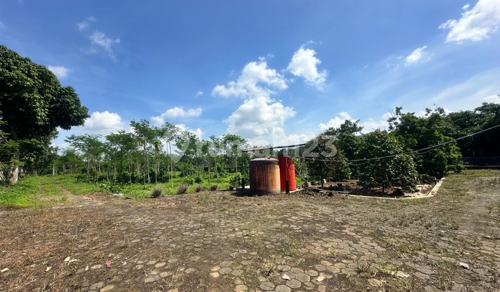 Tanah Murah Mijen Semarang 2