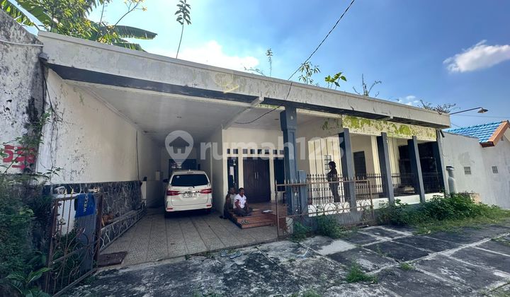 Cheap House for Sale in Jangli Negotiable Until Deal 2