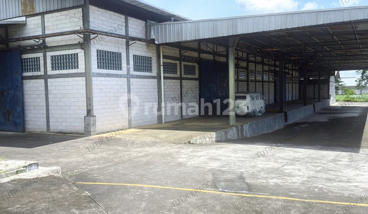 Warehouse for Rent in Red Zone 1