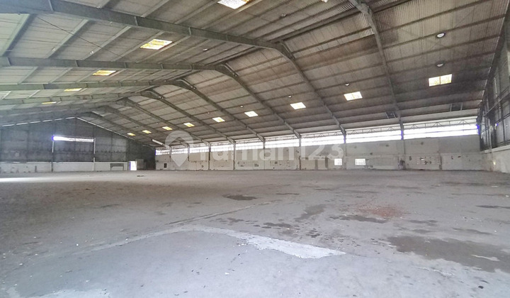 Disewakan gudang di Pluit Raya Disewakan gudang di Pluit Raya