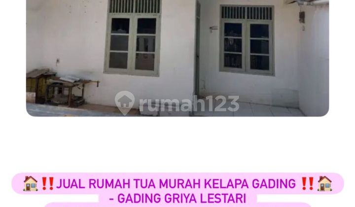 Jual rumah tua murah Kelapa Gading - Gading Griya Lestari 2