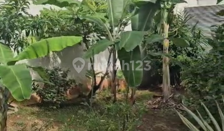 Jual Cepat Kavling Dalam Komplek.di Jakarta Timur Bebas Banjir Jual Cepat Kavling Dalam Komplek.di Jakarta Timur Bebas Banjir