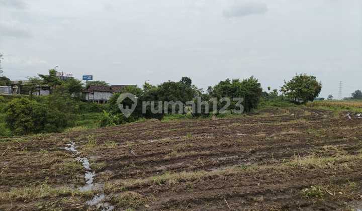 Dijual Tanah Luas di Pacet Mojokerto Dijual Tanah Luas di Pacet Mojokerto