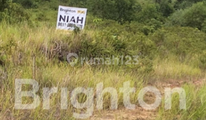 Dijual Tanah Murah