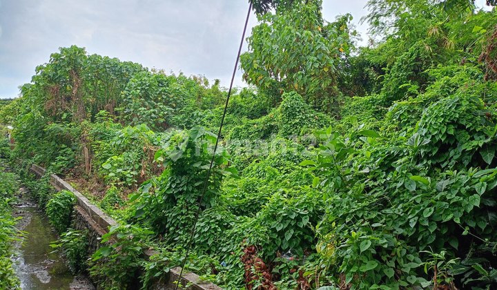 Strategic Land in Trade and Services Zone.