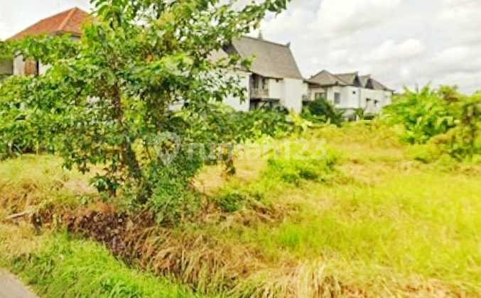 Land 3,700 M2 in Munggu - Strategic Location & Best Investment Potential