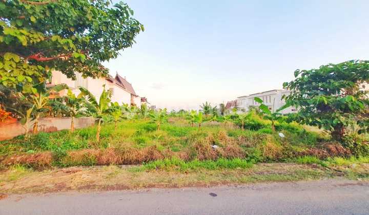 Land 3,700 M2 in Munggu - Strategic Location & Best Investment Potential