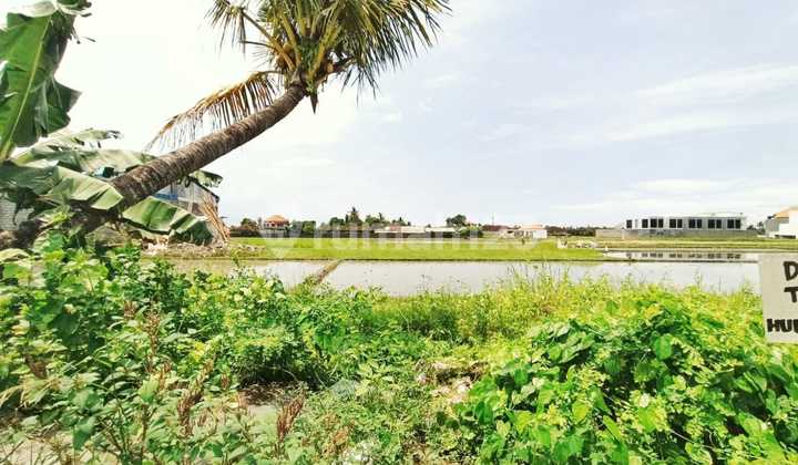 Tanah 500 M2 Di Lokasi Investasi Terbaik Di Kawasan Emas Tanah Lot