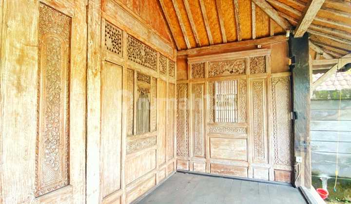 Sewa Rumah Strategis Di Jl. Bypass Ngurah Rai, Denpasar Timur - Lokasi Super Premium, Harga Terbaik! Sewa Rumah Strategis Di Jl. Bypass Ngurah Rai, Denpasar Timur - Lokasi Super Premium, Harga Terbaik!