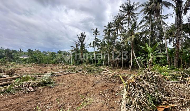 Tanah Kavling Premium Pantai Saba 1 Menit Tanah Kavling Premium Pantai Saba 1 Menit