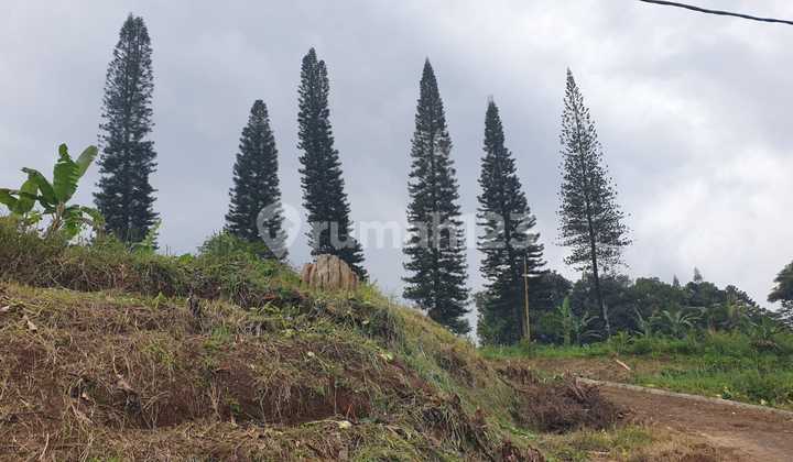 Lahan Siap Pakai 19, 679 M2