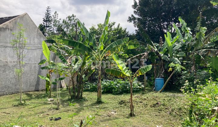 Dijual Tanah Komplek Cipaganti Rahayu Cipamokolan Soekarno-Hatta Dijual Tanah Komplek Cipaganti Rahayu Cipamokolan Soekarno-Hatta