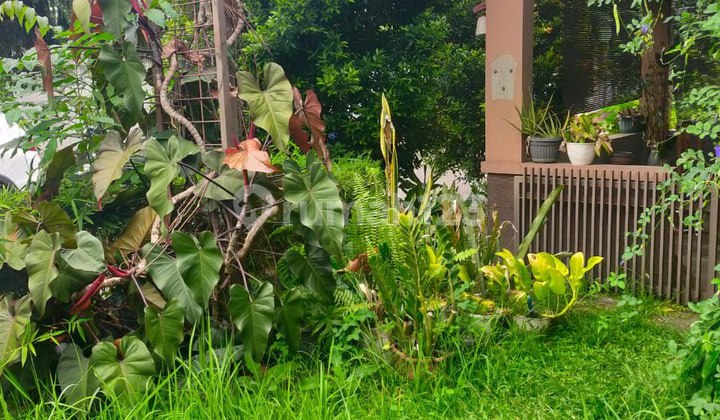 Djual Rumah Siap Huni Area Mekar Wangi Kota Bandung Djual Rumah Siap Huni Area Mekar Wangi Kota Bandung