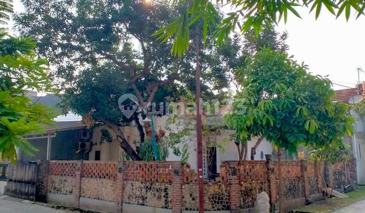 Rumah Strategis di Limus Pratama Regency Dekat Mall & Tol Rumah Strategis di Limus Pratama Regency Dekat Mall & Tol