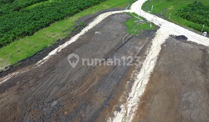 Freehold Plot (SHM) Super Strategic Location in the Golden Area of Canggu Freehold Plot (SHM) Super Strategic Location in the Golden Area of Canggu