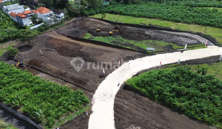 Premium Plot SHM (Freehold) in Canggu Within a 10-Hectare Area