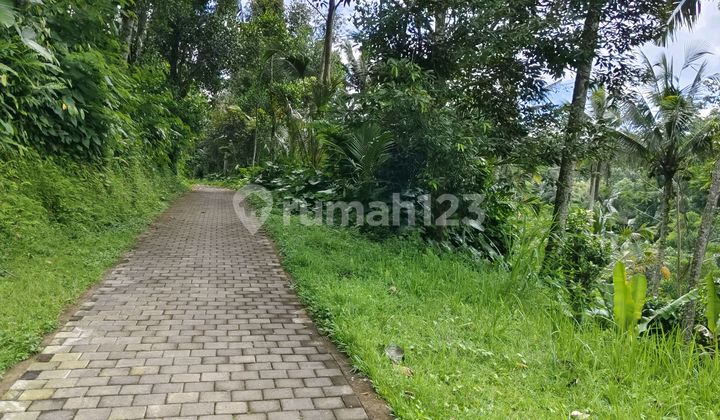 Tanah Los Sungai dengan View Lembah dan Hutan