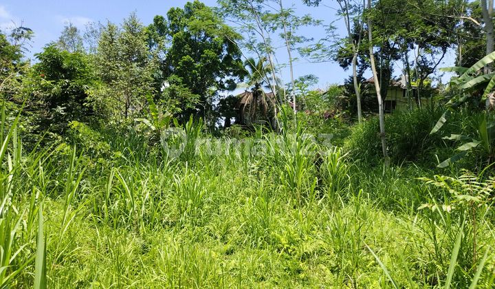 View Cantik Tanah Los Sungai Sangat Cocok Di Bangun Villa