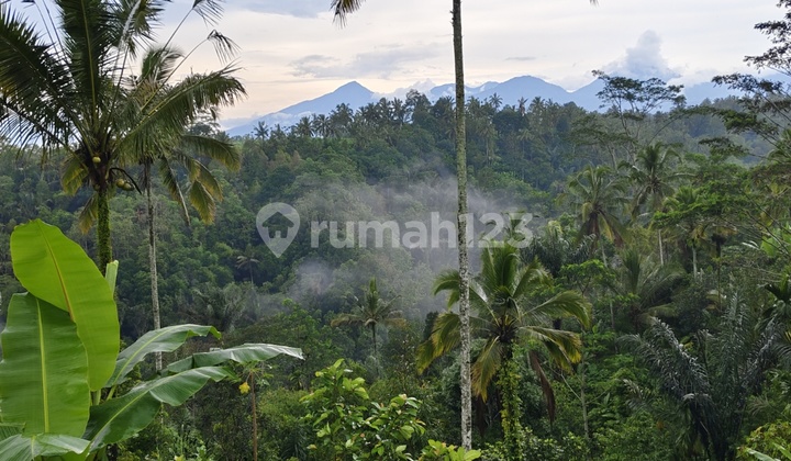 Tanah Dengan Pemandangan Super Keren Tanah Dengan Pemandangan Super Keren