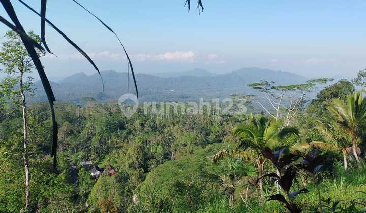 Tanah Murah View Cantik Sangat Cocok untuk Villa Bambo atau Investasi Jangka Panjang Harga Masih Murah