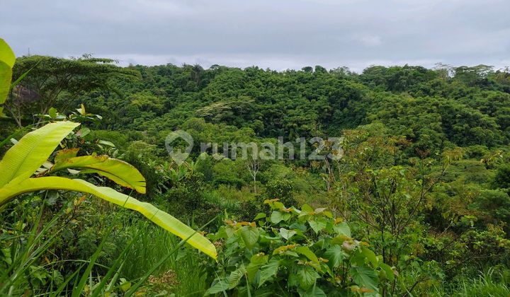 Tanah Cantik Dengan View Lembah Tanah Cantik Dengan View Lembah