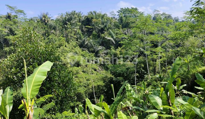 Butuh Uang Cepat Di Jual Tanah 19 Are Los Sungai